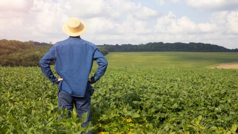 Sustentabilidade no campo: Alfredo Moreira Filho explica o papel do engenheiro agrônomo na valorização de práticas agrícolas responsáveis.