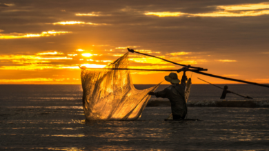 Joel Alves apresenta as principais normas que garantem a preservação ambiental e o equilíbrio da atividade pesqueira.