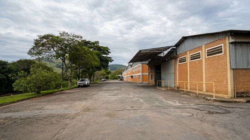 Família Shih