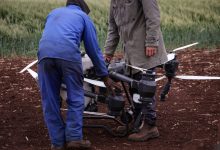 Dois agricultores operam um drone para monitorar uma plantação, destacando o uso de tecnologia no campo.