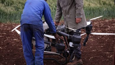 Dois agricultores operam um drone para monitorar uma plantação, destacando o uso de tecnologia no campo.