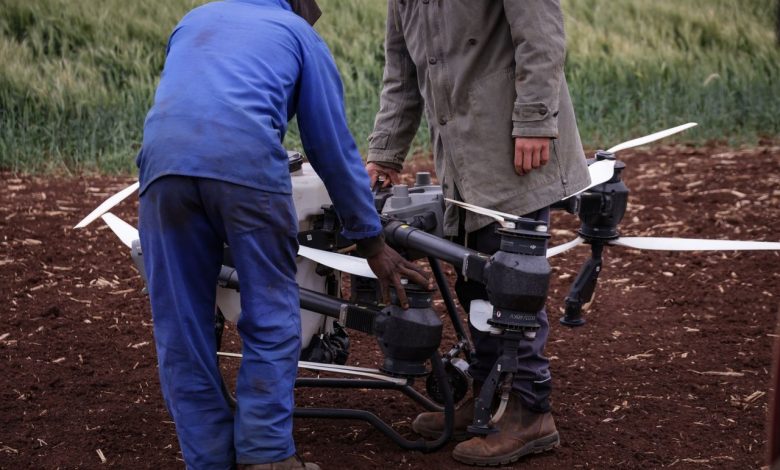 Dois agricultores operam um drone para monitorar uma plantação, destacando o uso de tecnologia no campo.